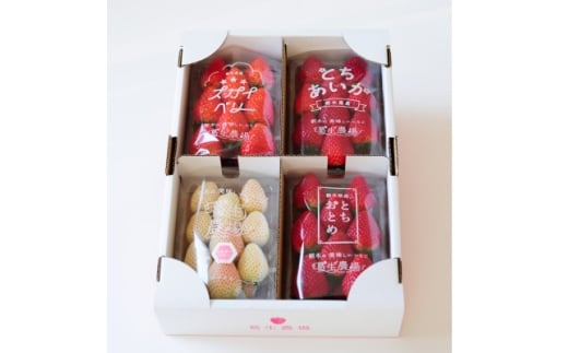 粒一杯!栃木いちご4種詰め合わせセット(260g×4パック)【1642089】 2237358 - 栃木県佐野市