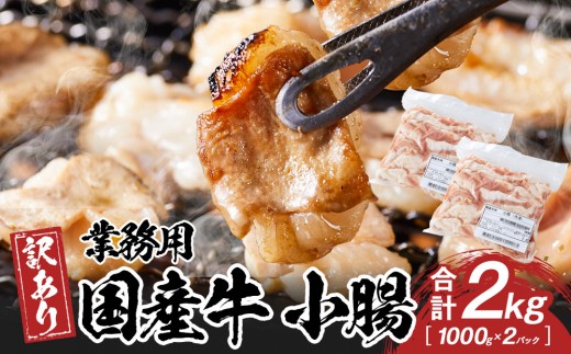 《業務用・訳アリ》国産牛 小腸 2kg 2236222 - 香川県高松市