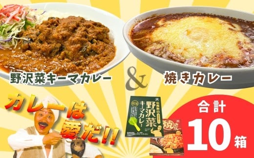 あると便利なレトルトカレー★「おうちで焼きカレー」・「信州味噌入り野沢菜キーマカレー」各5箱合計10箱セット(Ai-002)