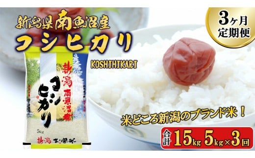 【令和7年産新米予約】【A-3定期便】南魚沼産コシヒカリ5kg×3回【2025年11月中旬より順次発送予定】