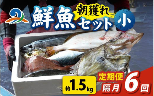 【定期便　隔月６回】【朝獲り】漁師厳選 鮮魚セット (小) 3種類以上 約1.5kg 魚 詰め合わせ 新鮮 煮物 焼き物 お造り 刺身 晩酌 食卓 BBQ 急速冷凍 真空パック 鮮魚セット 詰合せ 鮮魚店 厳選 お任せ 鮮度 産直 海鮮 加熱用 福井県 南越前町 越前 盛り合わせ おまかせ お楽しみ おつまみ おかず ご飯のお供 送料無料  2240923 - 福井県南越前町