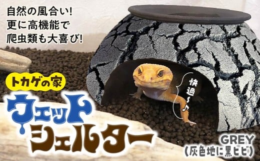 トカゲの家 ウェットシェルター 灰色 & 黒 爬虫類 | ペット トカゲ とかげ 脱皮 ペット用品 爬虫類用 シェルター レオパードゲッコー レオパ フトアゴ イモリ カエル ヘビ 陶器 家 カビ抑制 隠れ家 おしゃれ おうち デザイン 飼育 グレー grey 作家 飼育用品 ギフト 作品 手仕事 陶芸家 インテリア オブジェ 観察 自然 飼育品 ナチュラル セキグチタカヒト 埼玉県 北本市