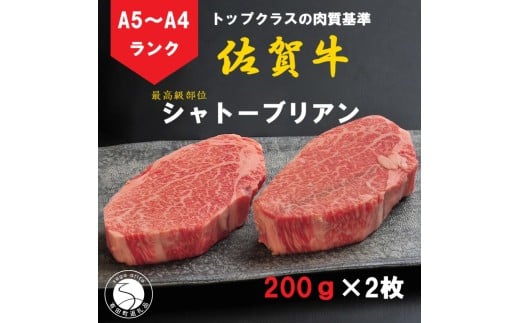 佐賀牛 シャトーブリアン(200g×2枚)[陶窯みかわや]最高級 希少部位 A5 A4 黒毛和牛 厳選 ブランド牛 霜降り お肉の女王 400g ステーキ 110000円 11万円 N110-1