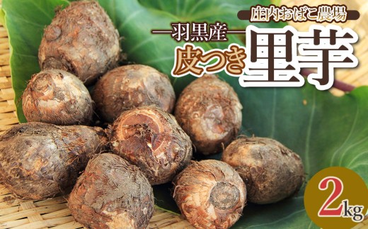 【令和7年産】 羽黒産 皮つき里芋 2kg　山形県鶴岡市 農事組合法人庄内おばこ農場 K-726