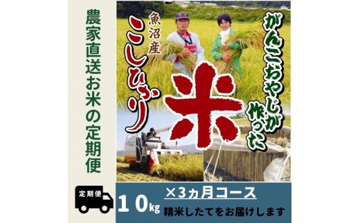 【令和７年産新米予約】３か月定期便　がんこおやじが作った南魚沼産コシヒカリ白米１０kg（５kg×２袋）【2025年10月20日頃より順次発送予定】