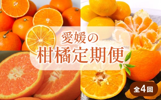 【先行予約】【全4回】 柑橘定期便｜  興居島みかん あいか はれひめ いよかん温州 温州みかん 愛果 愛果28号 紅まどんな と同品種 伊予柑 柑橘 定期便 取り寄せ 甘いみかん ギフト 愛媛県産 ミカン みかん mikan 蜜柑 フルーツ 果物 くだもの お取り寄せ 産地直送 数量限定 人気 おすすめ 送料無料 贈答 ギフト 愛媛県 松山市