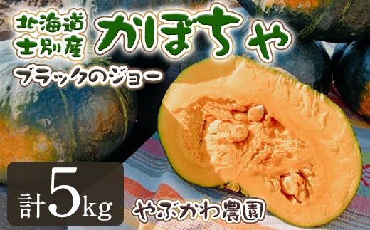 【A7091】<先行予約受付中・期間限定>北海道士別市産 かぼちゃ ブラックのジョー (5kg・2~4玉 ) 【2025年10月から12月の間に順次発送】かぼちゃ 南瓜 カボチャ 北海道産 国産 野菜 やさい 甘み 産地直送 おかず 味覚の秋【やぶかわ農園】 2237043 - 北海道士別市