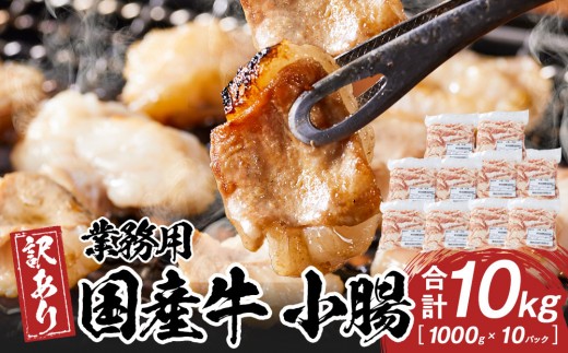 《業務用・訳アリ》国産牛　小腸　10kg 2236225 - 香川県高松市