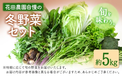 冬野菜セット 約5kg 花田農園《11月下旬-2月末頃出荷》白菜 大根 大葉春菊 里芋 キャベツ 水菜 リーフレタス ブロッコリー ロマネスコ 福岡県 鞍手郡 鞍手町 847466 - 福岡県鞍手町