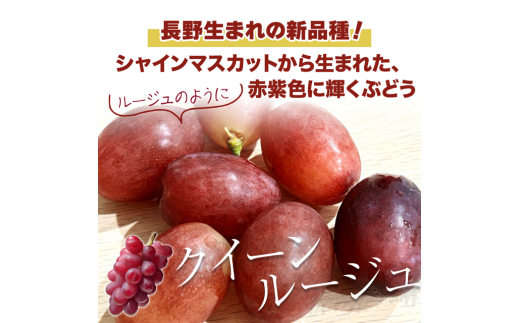 【2025年先行予約】 クイーンルージュ®  約1kg ( 2~3房 )｜ 果物 フルーツ 赤ぶどう 葡萄 ブドウ 種無し 種なし 皮ごと 千曲市 長野県 信州 2197487 - 長野県千曲市