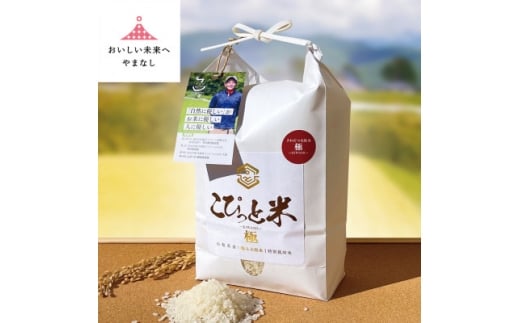 きわだつ大粒!＜令和7年産＞こぴっと米＜極＞白米・2kg　特別栽培米【1652051】