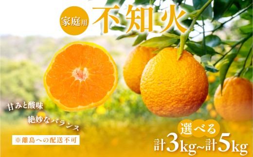 [先行予約][選べる容量][家庭用]不知火 約3kg / 約5kg ※離島への配送不可(2026年2月上旬頃より順次発送予定) [ ふるさと納税 人気 おすすめ ランキング 柑橘 みかん ミカン フルーツ 果物 でこぽん デコポンと同品種 愛媛県 伊方町 送料無料 ]IKTAC003-v