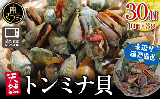【素潜り漁師直送】【袋に入った冷凍のままでレンジ対応】【南さつま市　笠沙産　天然トンミナ貝】