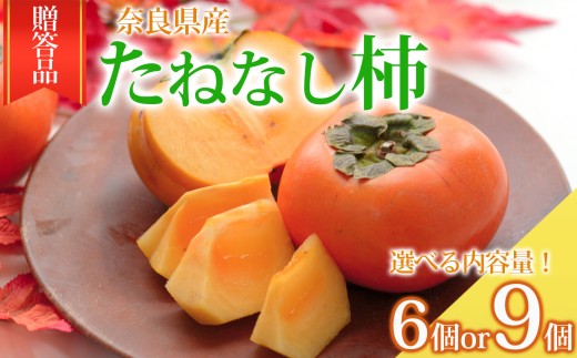 たねなし柿 贈答品 6個 or 9個 | フルーツ くだもの 果物 柿 カキ かき 贈り物 贈答用 ギフト用 フルーツギフト 贈答 人気 国産 産地直送 奈良県 五條市 種なし タネなし 10月 11月 秋 旬 食物繊維 豊富 美容 健康 農家直送 なかい農園 お取り寄せ グルメ 送料無料 まったり とろける 美味しい ギフト プレゼント 果実 甘い 食べやすい