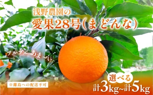 [先行予約][数量限定][選べる数量]浅野農園の愛果28号(まどんな)家庭用 3kg / 5kg ※離島への配送不可(2025年12月中旬〜2026年1月中旬頃に順次発送予定) [ ふるさと納税 人気 おすすめ ランキング 柑橘 みかん ミカン フルーツ 果物 愛媛 有名 代表 高級 愛媛県産 愛媛みかん 浅野農園 愛媛県 伊方町 送料無料 ]IKTAC024-v