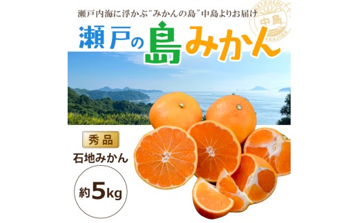 【先行予約】 瀬戸内海の島みかん (秀品)【石地みかん】約5kg | 柑橘 みかん 密柑 オレンジ フルーツ 果物【2026年1月頃発送予定】 愛媛県 松山市 ココオ Koko'o