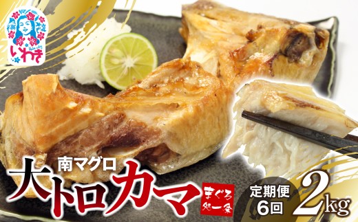 【定期便/計6回】南マグロ大トロカマ2kg（計12kg）|加熱用 選べる 回数 定期便 ｜ 冷凍 塩焼き 煮付け まぐろ 鮪 マグロ 焼き魚 高級種 希少部位 2173824 - 福島県いわき市