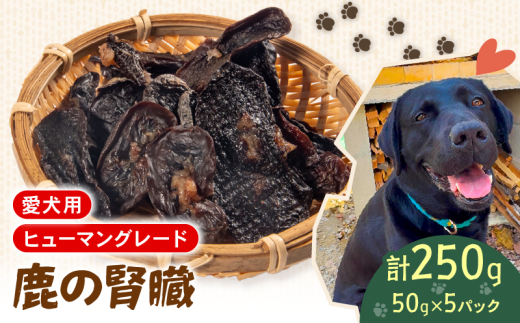 犬用 シカ の 腎臓 スライス 50 g× 5 袋 ジビエ  鹿肉 肉 鹿 ペットフード ドッグフード ペット 安心 健康 おやつ 犬 国産 ごはん ペット ペット用品 ペットフード 犬のおやつ  犬用 ペット用 ご褒美