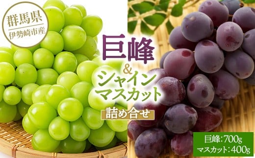 巨峰700g シャインマスカット400g 詰め合わせ ※2025年8月中旬～9月上旬頃に順次発送予定 ※離島への配送不可