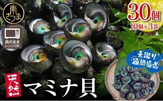 【素潜り漁師直送】【袋に入った冷凍のままでレンジ対応】【南さつま市 笠沙産 天然マミナ貝】 シッタカ クボガイ 海産物 魚介類 鹿児島県 南さつま市 隆康産業