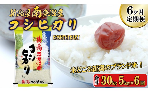 【令和7年産新米予約】【A-6定期便】南魚沼産コシヒカリ5kg×6回【2025年11月中旬より順次発送予定】