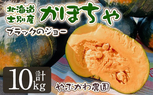 【B7116】＜先行予約受付中・期間限定＞北海道士別市産 かぼちゃ ブラックのジョー (10kg・5~8玉) 【2025年10月から12月の間に順次発送】かぼちゃ 南瓜 カボチャ 北海道産 国産 野菜 やさい 甘み 産地直送 おかず 味覚の秋【やぶかわ農園】 2237042 - 北海道士別市