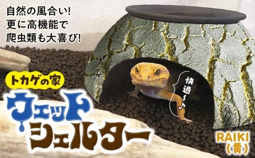 トカゲの家 ウェットシェルター 黄 爬虫類 | ペット トカゲ とかげ ペット用品 爬虫類用 シェルター 隠れ家 飼育用品 家 カビ抑制 観察 陶器 おしゃれ おうち デザイン 飼育 黒地 レオパードゲッコー レオパ フトアゴ イモリ カエル ヘビ 脱皮 作家 アーティスト ギフト 作品 手仕事 陶芸 インテリア オブジェ 自然 ナチュラル イエロー yellow セキグチタカヒト 埼玉県 北本市 2237352 - 埼玉県北本市