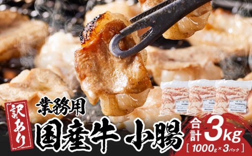 《業務用・訳アリ》国産牛　小腸　3kg 2236223 - 香川県高松市