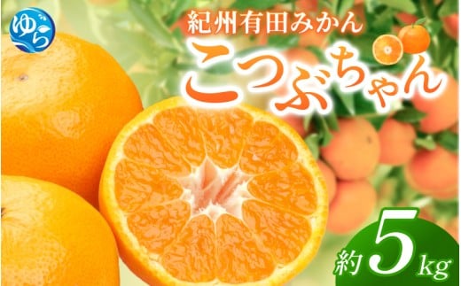 紀州 有田みかん 「こつぶちゃん」 約5kg / みかん 温州みかん 小粒 小玉 こだま 甘い 和歌山 由良 フルーツ 柑橘  ※2025年11月下旬～2026年1月中旬頃発送予定【sml117A】  483136 - 和歌山県由良町