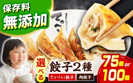 【選べる種類・容量】人気ラーメン店の本気の「てっぺい餃子」100個入り(小分け包装)【保存料無添加】【メディアでも話題:石田てっぺいラーメン店】 国産豚肉 餃子 ぎょうざ 冷凍 惣菜 おかず おつまみ 大容量 餃子 冷凍餃子 ぎょうざ 肉餃子 惣菜 おかず おつまみ 大容量 業務用 簡単 大阪府高槻市/無人屋 [AOCX006]  1209301 - 大阪府高槻市