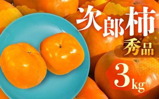≪先行予約≫ 数量限定 生産量日本一 愛知県豊橋産 次郎柿 秀品 贈り物にも！ 3kg 柿 甘柿 果物 フルーツ 10月 11月 愛知県 豊橋市 ビタミンC 高栄養価 食物繊維 旬をおとどけ
