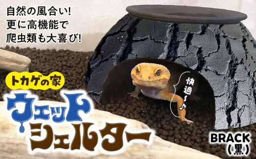 トカゲの家 ウェットシェルター 黒 爬虫類 | ペット トカゲ とかげ ペット用品 爬虫類用 シェルター 隠れ家 飼育用品 家 カビ抑制 観察 陶器 おしゃれ おうち デザイン 飼育 黒地 レオパードゲッコー レオパ フトアゴ イモリ カエル ヘビ 脱皮 作家 アーティスト ギフト 作品 手仕事 陶芸家 インテリア オブジェ 自然 ナチュラル ブラック black セキグチタカヒト 埼玉県 北本市 2237353 - 埼玉県北本市