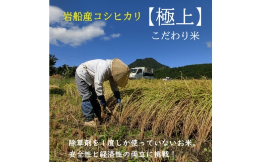 [先行予約]R7年産 [極上]こだわり米 岩船産コシヒカリ精米9kg(3kg×3袋)[奥越後百姓屋]【1656186】