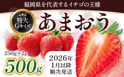 <先行予約受付中!2026年1月上旬以降順次発送予定> 福岡県産 あまおう (計500g・250g×2パック) いちご イチゴ 苺 ストロベリー 果物 フルーツ おやつ デザート スイーツ 福岡県 小分け アマオウ 1月発送 期間限定 数量限定 冷蔵 【エフビーネット】as47-003 2218940 - 福岡県芦屋町