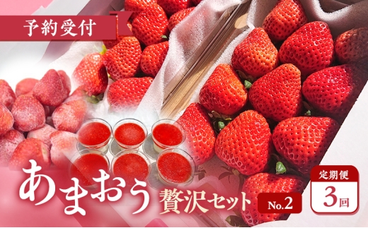【2026年3月上旬より発送開始】【予約受付・3回定期便】あまおう贅沢セットNo.2 ※配送不可：北海道・沖縄県・離島
