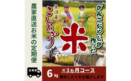 【令和７年産新米予約】３か月定期便　がんこおやじが作った南魚沼産コシヒカリ白米６kg（３kg×２袋）【2025年10月20日頃より順次発送予定】