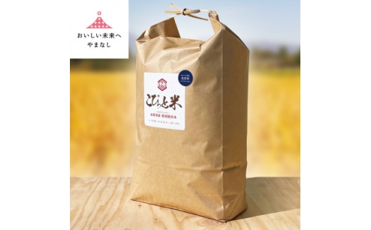冷めても美味しい!<令和7年産>こぴっと米<五百川>白米・10kg 特別栽培米【1652044】 2237421 - 山梨県山梨県庁