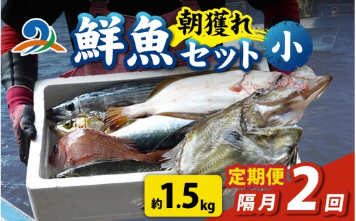 【定期便　隔月２回】【朝獲り】漁師厳選 鮮魚セット (小) 3種類以上 約1.5kg 魚 詰め合わせ 新鮮 煮物 焼き物 お造り 刺身 晩酌 食卓 BBQ 急速冷凍 真空パック 鮮魚セット 詰合せ 鮮魚店 厳選 お任せ 鮮度 産直 海鮮 加熱用 福井県 南越前町 越前 盛り合わせ おまかせ お楽しみ おつまみ おかず ご飯のお供 送料無料  2240926 - 福井県南越前町