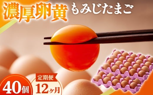 濃厚卵黄もみじたまご【40個入り】【12ヶ月連続】定期便 [No.938] ／ タマゴ 純国産 新鮮 採れたて 岐阜県 特産