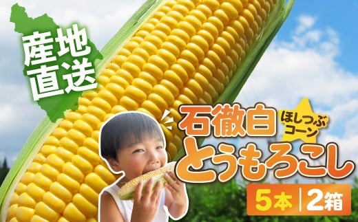 先行予約《数量限定・期間限定》いとしろトウモロコシ 10本(5本入×2箱) / (お届け日 2025.8/19~8/25)とうもろこし 大粒 甘い おいしい ほしつぶ コーン 野菜 やさい 旬 夏 BBQ 焼肉 10000円 1万円 [G0002-25b]  5本入 2箱 とうもろこし 大粒 甘い おいしい ほしつぶ コーン 野菜 やさい  旬 夏 BBQ 焼肉 10000円 1万円 956498 - 岐阜県郡上市