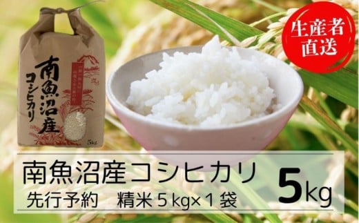 【令和7年産新米予約】南魚沼産コシヒカリ特A(精米5kg)【2025年10月下旬より順次発送予定】 2235480 - 新潟県南魚沼市