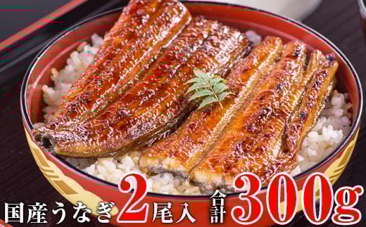 国産うなぎ蒲焼き大サイズ２本セット(A24