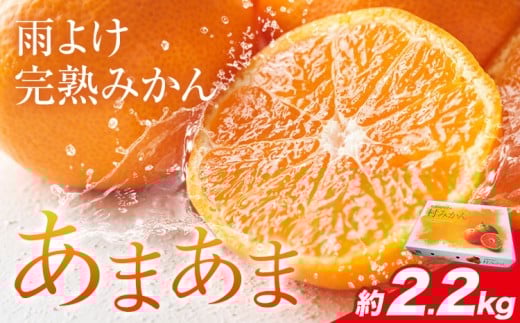 雨よけ完熟みかん「あまあま」選べる内容量 約2.2kg 正木久之[12月下旬-1月中旬]徳島県 佐那河内村 みかん ミカン 蜜柑 柑橘 箱入り 化粧箱 フルーツ 果物 くだもの 贈答[配送不可地域あり]※離島不可