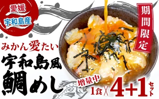 海鮮丼 鯛 鯛めし 期間限定 増量中 ！ 
