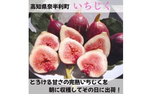 ※画像はイメージです。