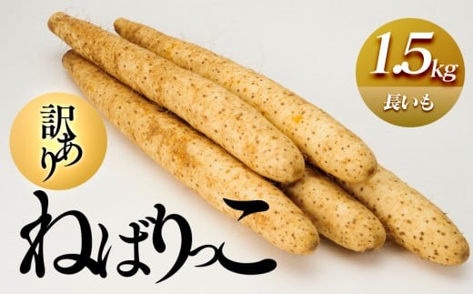 942.≪先行受注≫【訳あり】ねばりっこ1