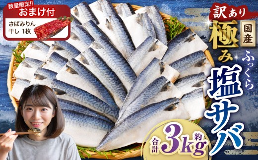 【訳あり】国産 ふっくら 極み塩サバ 計約3kg
