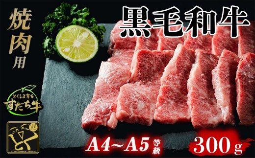 徳島県鳴門市のふるさと納税 すだち牛 黒毛和牛 （ 焼き肉用 ） 300g 国産 牛肉 焼き肉 焼肉 赤身 冷凍 お肉 肉 ブランド 和牛 霜降り カット 小分け 人気 10000円