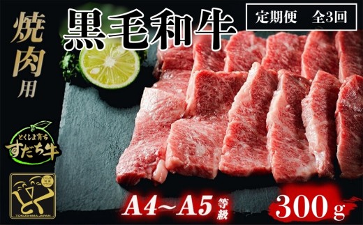 定期便 3回お届け すだち牛黒毛和牛(焼肉用)300g 合計900g 国産 牛肉 焼き肉 焼肉 赤身 冷凍 お肉 肉 ブランド 和牛 霜降り カット 人気 定期便