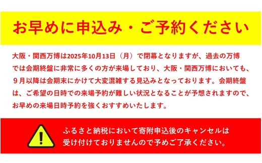 大阪府東大阪市のふるさと納税 【9月11日まで！】大阪・関西万博入場チケット　平日券（大人）【2025年日本国際博覧会 Expo 2025 Osaka, Kansai, Japan EXPO2025 EXPO 2025 大阪 関西 日本 万博 夢洲 修学旅行 校外学習 ミャクミャク 大阪・関西万博 OOSAKA JAPAN 入場券 パビリオン 観光 世界文化 環境問題 前売り券 大阪万博 関西万博  ⒸExpo 2025】